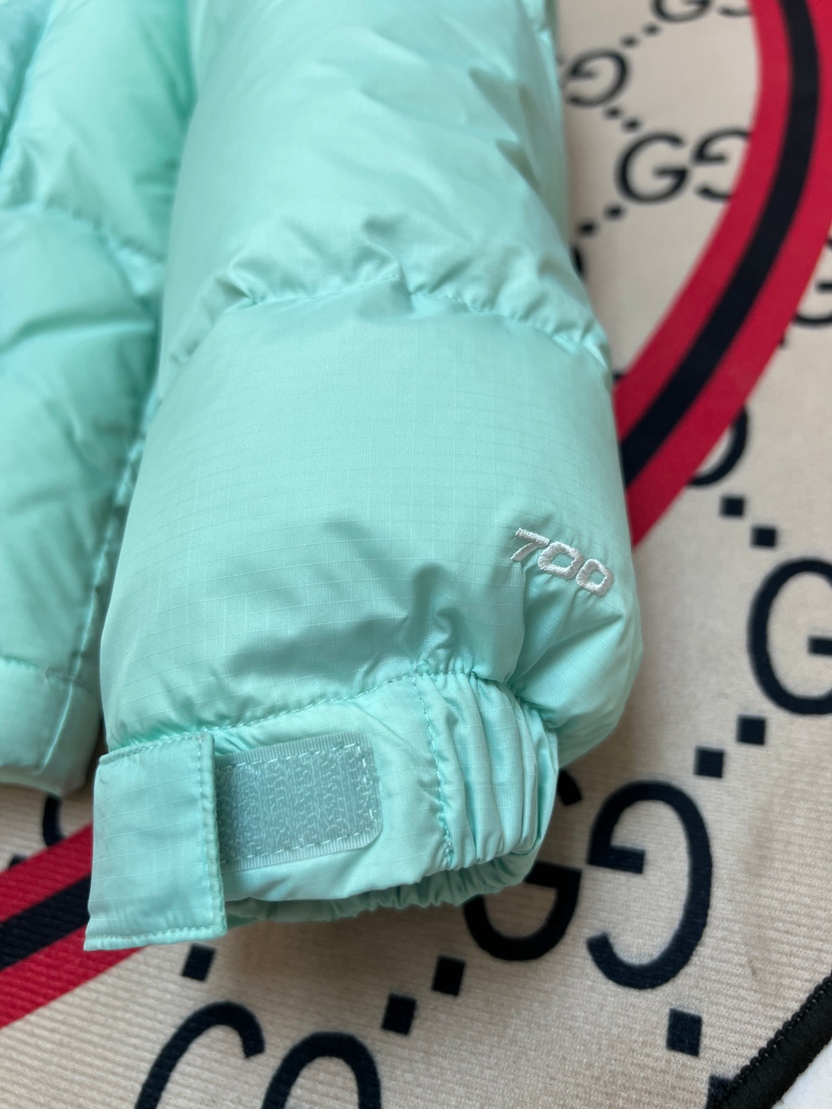 The North Face Mint Green & Black 700-Fill Nuptse Down Puffer Jacket