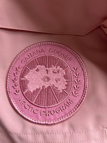 Canada Goose Dusty Pink Hooded Puffer Jacket